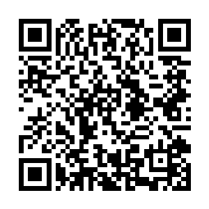 连陆为民都意识到恐怕宋州市委里边还是有些问题了二维码生成