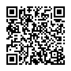 连雾蝉一族那几乎进入冰冻的古老存在都苏醒了二维码生成
