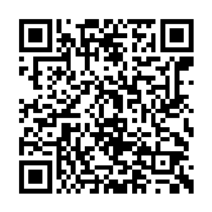 连首次参加会武的姜薄云都败在了欧阳明的手上二维码生成