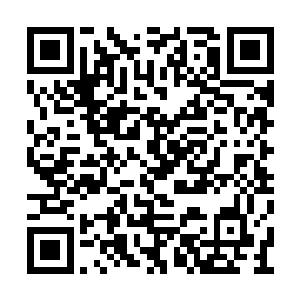 连高手如云的蓬莱秘境都将它列为禁地中的禁地二维码生成