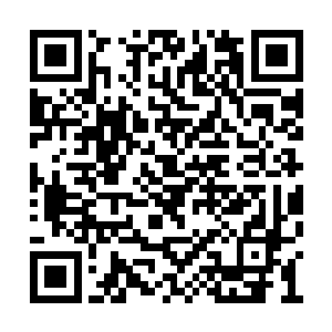 迟早也是被那些天山派的长老们捉去驯服喂养了二维码生成