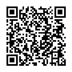 迪亚菲斯和他的手下们联手贡献了不菲的杀戮经验二维码生成