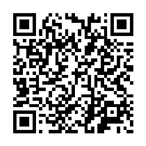 迪卡微微睁开的眼睛发现一个人走到了他的面前二维码生成