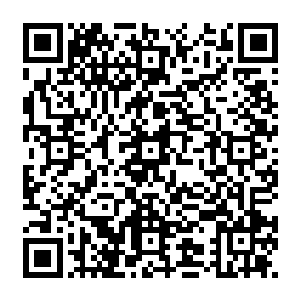 迪卡普里奥和他的经纪人拒绝了剧组提议的跟维多利亚的秘密的模特来段假恋情的建议二维码生成