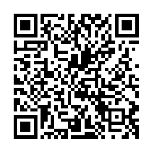 迪尔亚和奥巴两兄弟的目光也落在长阳虎手中的那根铁棍上了二维码生成