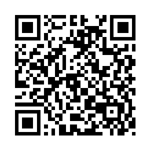 迪斯丁在天不亮的时候就带着所有人离开了二维码生成