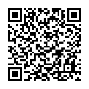 迪达星的巨人军团已经集结在超重力能量矿区的附近二维码生成