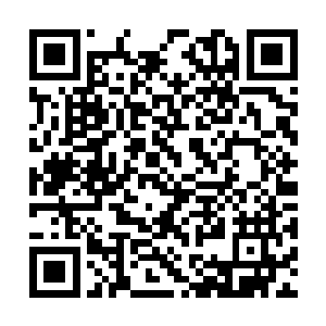 迪雷斯利不会因为蝇头小利就置国家的根本而不顾二维码生成