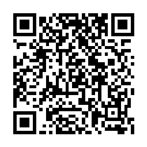 迫切的想要看到那群让他们十分不爽的南方青年二维码生成