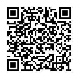 迷幻魔蝶是虫魔之中少有的以精神力著称的族群二维码生成