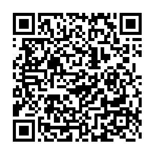 迷得连这输赢涉及到几十亿的赌局的底细都会身不由己地透露给她们二维码生成