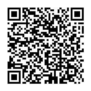 迷笛摇滚音乐节对于国内地下摇滚乐队来说这就是一年一度的狂欢盛宴二维码生成