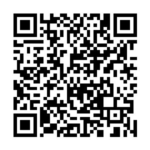 迷蒙的气息化作一只手掌随着青铜大门的关闭而最后进入二维码生成