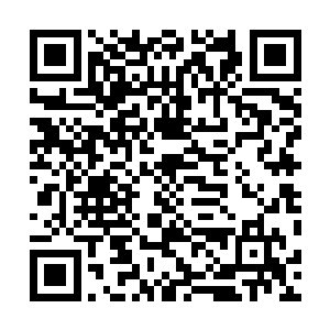 迷雾之中的那道人影似乎知道猪不能和马如云两人的想法二维码生成