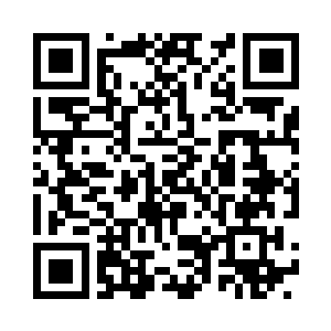 追上后本想搭把手拉着苗毅一起飞行二维码生成