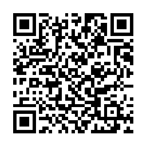 追击着风苍梧的那两个廷尉府的高手也不是等闲之辈二维码生成