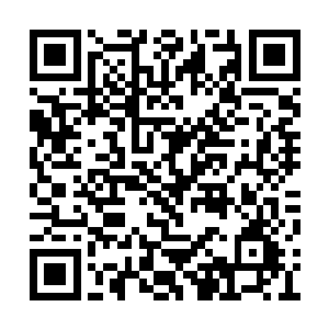 追电螭龙兽的身影已经出现在云天奇等人的身前二维码生成