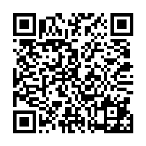 追随陆轻盈嫁过来之后在很短的时间里就变成了云家的人二维码生成