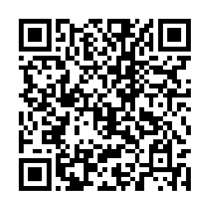追风逐日夸父道尊乃是混元宗道尊魔神中速度第一二维码生成
