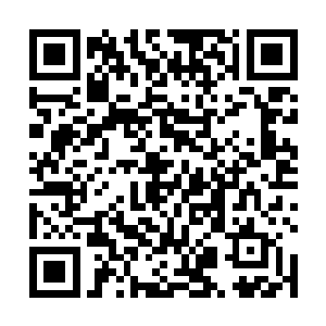 退兵增灶这个怪异的现象在前几日就被藤原树田发现了二维码生成