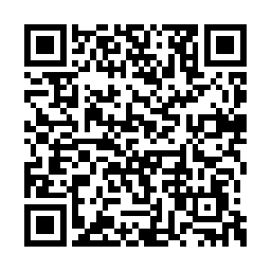 送去已经准备就绪只等接收祝海山的最顶级医院二维码生成