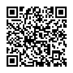 送进老白老蒋他们能看见的加密信息平台里面去二维码生成