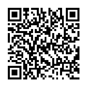 适合范围里最便宜的两人随意舞曲到包厢里来表演二维码生成