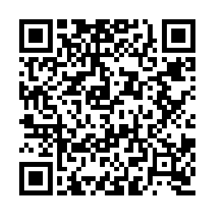 适当性的给下面的人员透露一下这个方面的消息二维码生成