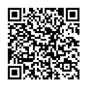 逃到兽神大陆的几名圣弃界圣皇很快就被全部找了出来二维码生成