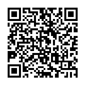 逃掉的可能性也是很大的――巧器门被九个蘑菇破灭二维码生成