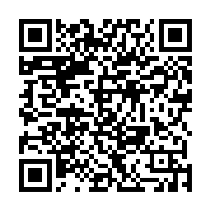 选了一个极为刁钻的角度隔着围栏瞬间射杀了其中的半数二维码生成