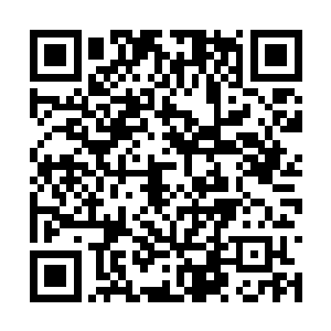 选帝侯家族的羸弱和无能就将彻底暴露在世人面前二维码生成