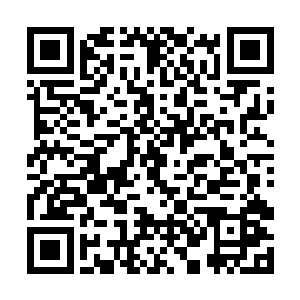 选择了四位剑造历史的演技奖项获得者作为头条照片二维码生成