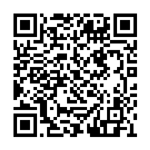 选择了对占据了鳄蛟岛人族修士全面的反攻偷袭二维码生成