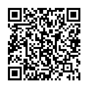 选择了跳崖……我把剩余的力量都凝聚起来护住身体二维码生成