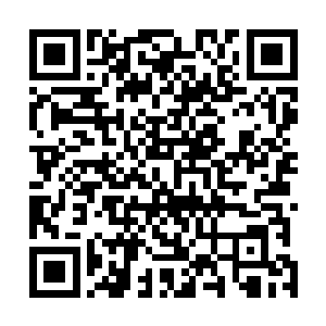 选择山东当地驻军驻守的南部侧翼阵地发动最猛烈的攻势二维码生成