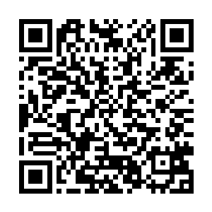选择我们也一定是觉得我们胜算更大也更有利用价值二维码生成