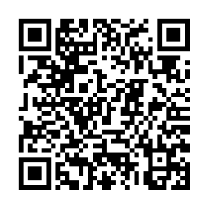 逍遥天尊的实力我想以血长老的地位也不可能不知道二维码生成