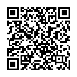 逍遥子说的最后一句话就是待到宁采辰突破凡尘之日二维码生成