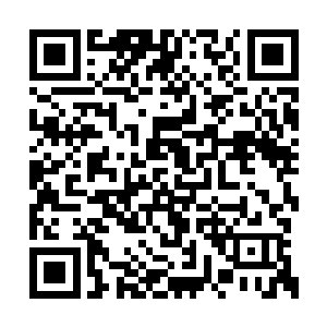 逍遥门那些人就算再大的胆子也不敢进去找你们二维码生成