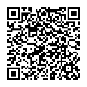 透明容器深入薛紫夜身体各部分的脉络都已经和周围的身体组织有了隔阂二维码生成