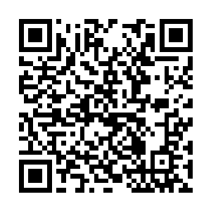 透过内视可以看见它体内经脉红色的灵器疯狂流动二维码生成