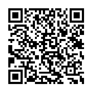 透过内视可以看见流墨墨的经脉以丹田中心为界二维码生成