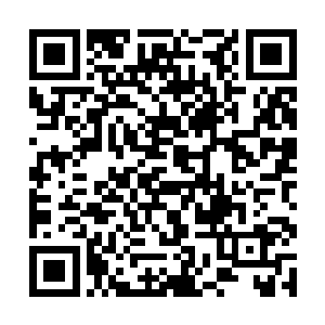 透过小玻璃窗就正好看见了夏天摆造型拿笛子那一幕二维码生成