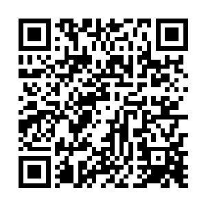 透过林子能看到那堵长满藤蔓的高墙以及高墙下的人群二维码生成