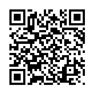 透过缝隙看到手拿信鸽欲言又止的雾二维码生成