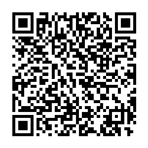 透过这些鳞片可以看到里面两米高的大古身体覆盖着一层黑色铠甲二维码生成