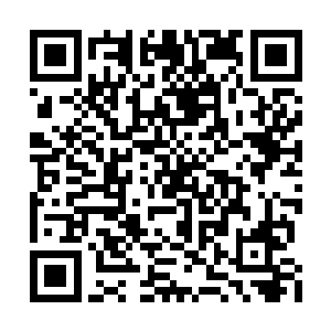 透过门上的窗户望着那个躺在那儿的男人而落下二维码生成