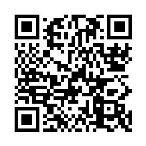 透过黑漆漆的枝叶注视着天空中的点点繁星二维码生成