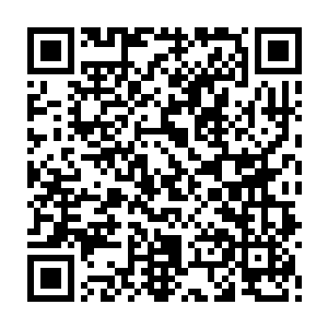 逐个介绍从普通国际航班楼到机场另一头的飞机工程区域路上的各种设施风景二维码生成